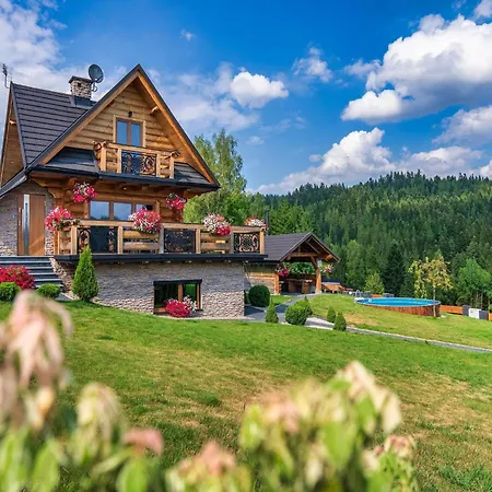Villa In Nowy Targ With Mountain Views & Pool 别墅 新塔尔格